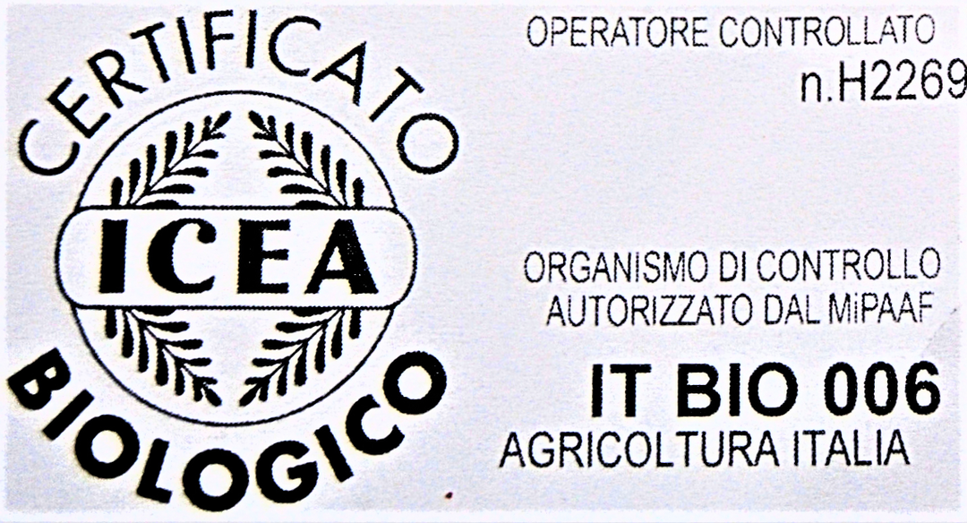 Prosciutto di Modena DOP BIOLOGICO Modena Food Boutique